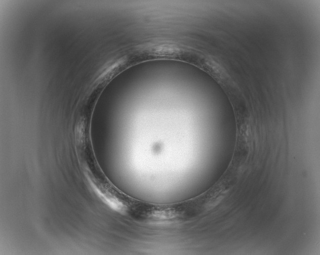 X0000081590744200701151309