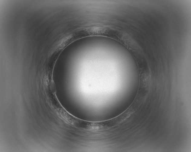 X0000081590746200701151309