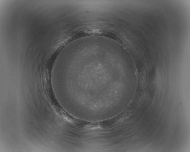 X0000081590747200701151309