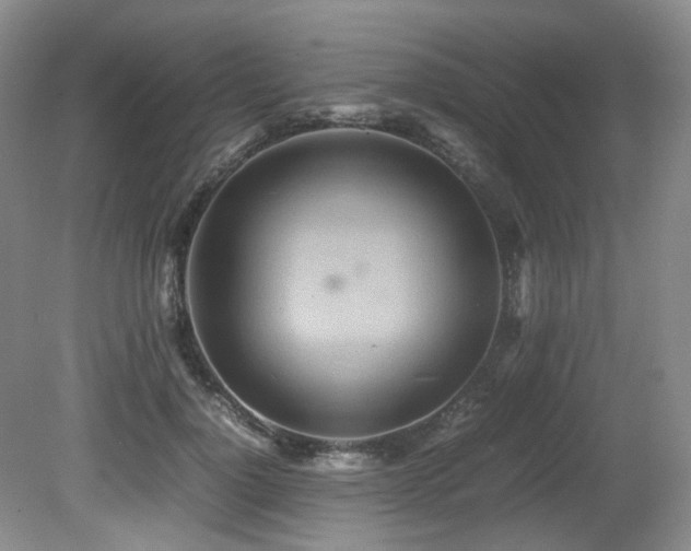X0000081590748200701151309