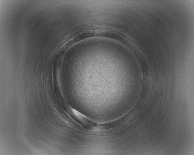 X0000081590750200701151309