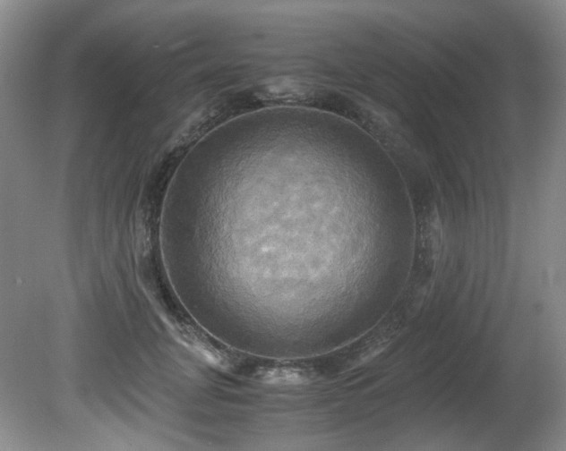 X0000081590751200701151309