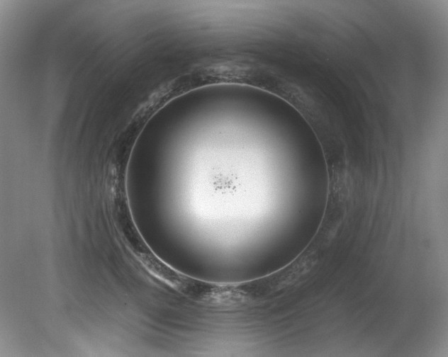 X0000081590752200701151309