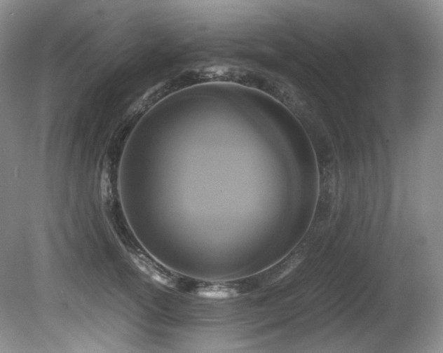 X0000081590754200701151309