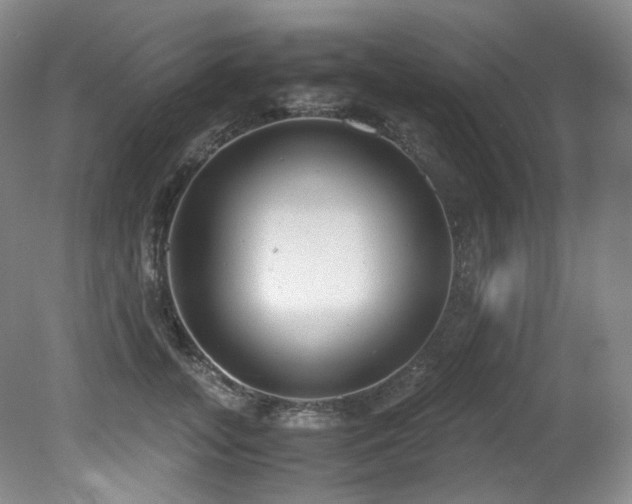 X0000081590755200701151309