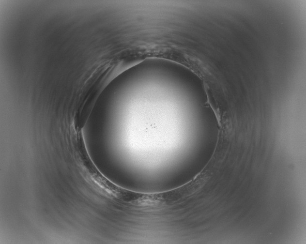 X0000081590756200701151309