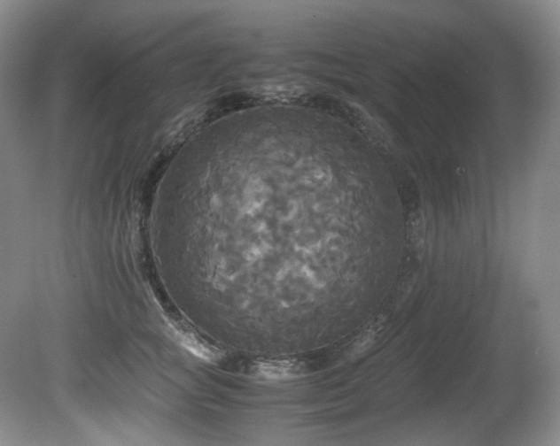 X0000081590757200701151309