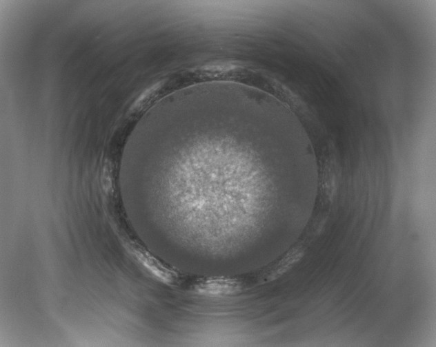 X0000081590758200701151309
