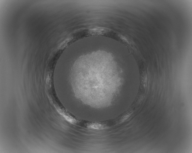 X0000081590759200701151309