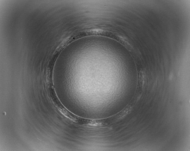 X0000081590760200701151309