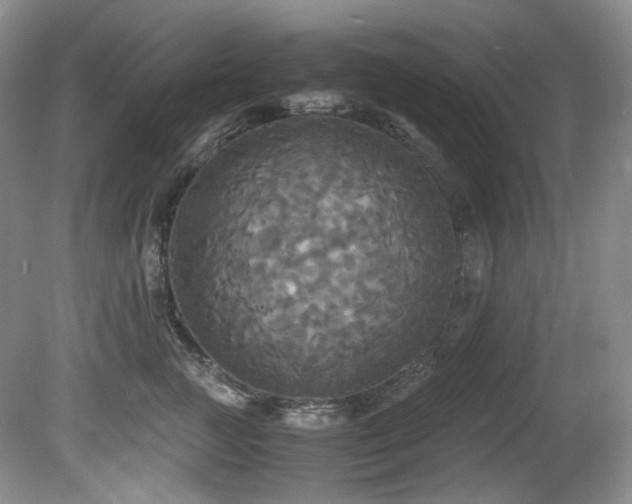 X0000081590761200701151309