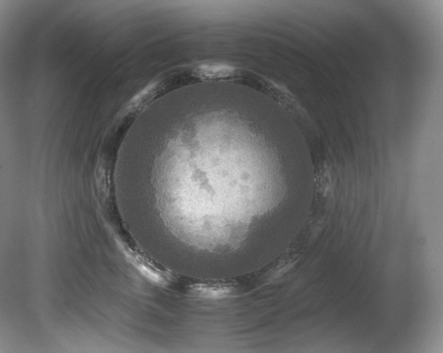 X0000081590763200701151309