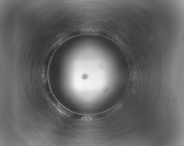 X0000081590764200701151309