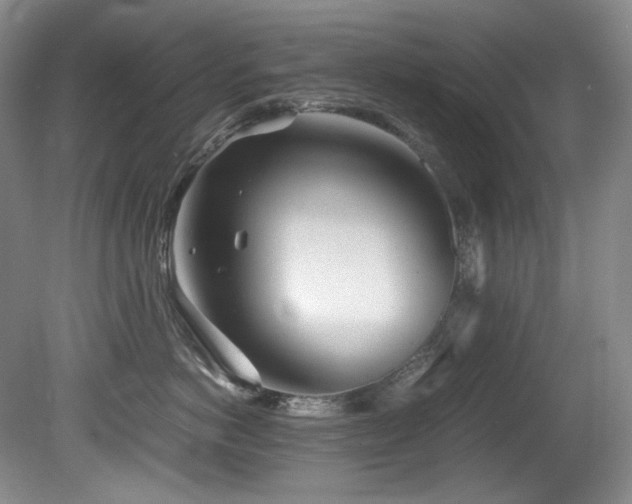 X0000081590766200701151309