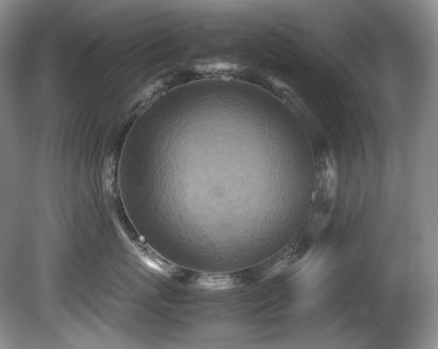 X0000081590767200701151309