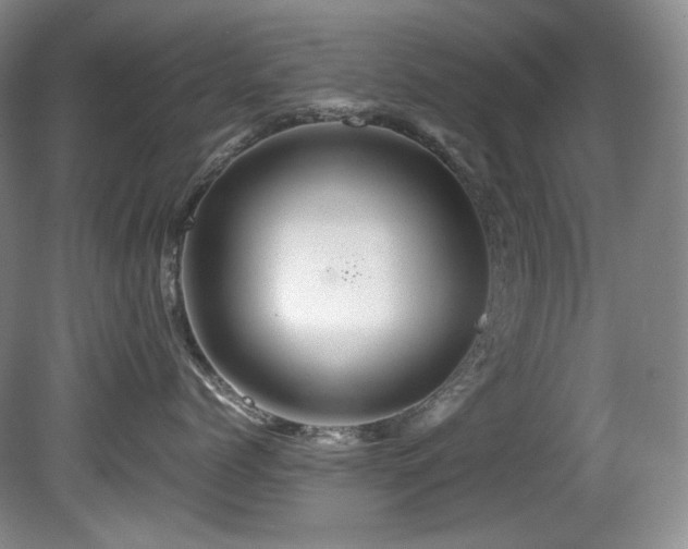 X0000081590768200701151309
