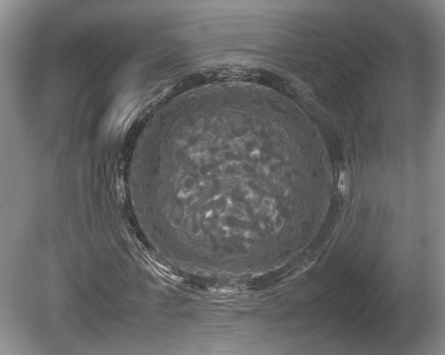X0000081590771200701151308