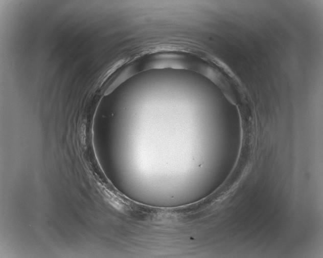 X0000081590777200701151308