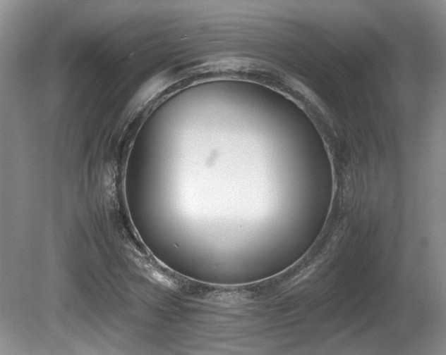 X0000081590778200701151308