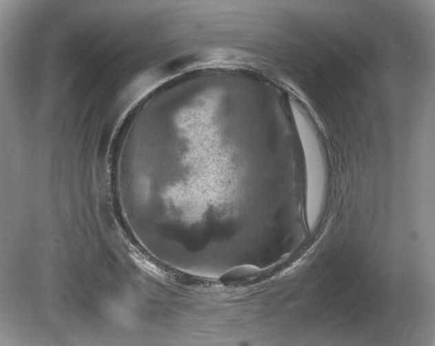X0000081590779200701151308