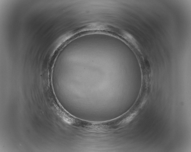 X0000081590781200701151308