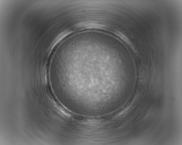 X0000081590782200701151308