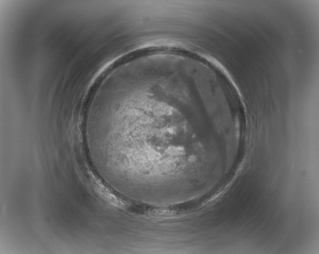 X0000081590783200701151308