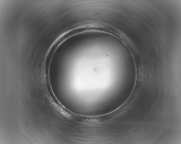 X0000081590784200701151308