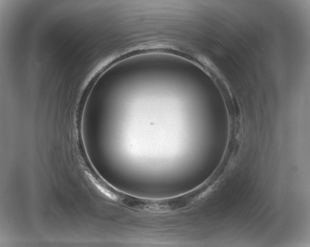 X0000081590789200701151308