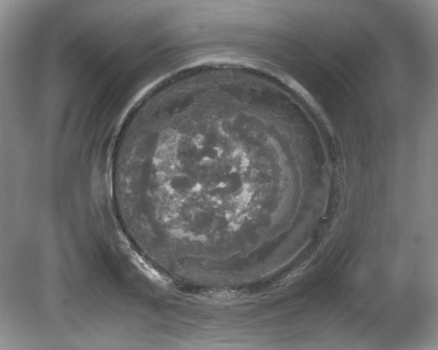 X0000081590791200701151308
