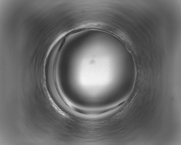 X0000081590792200701151308