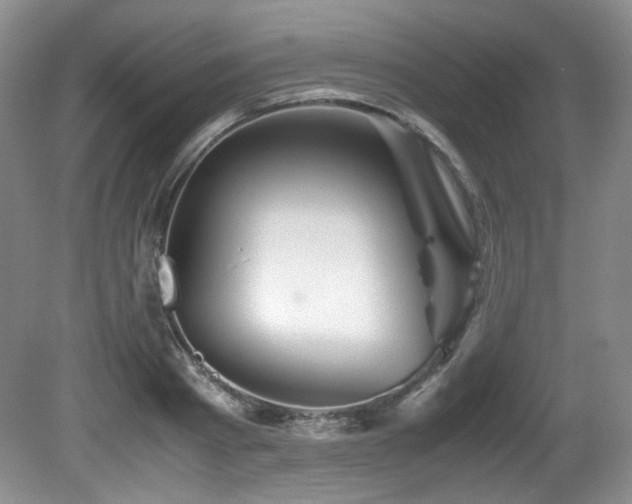 X0000081590793200701151308