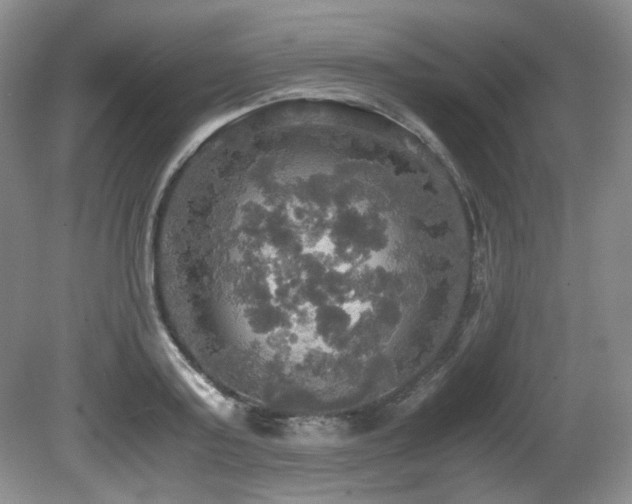 X0000081590795200701151308