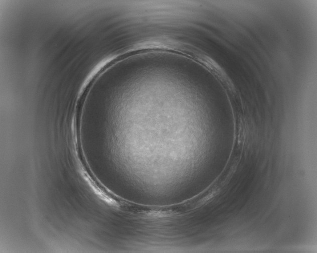 X0000081590796200701151308