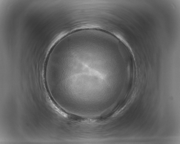 X0000081590797200701151308