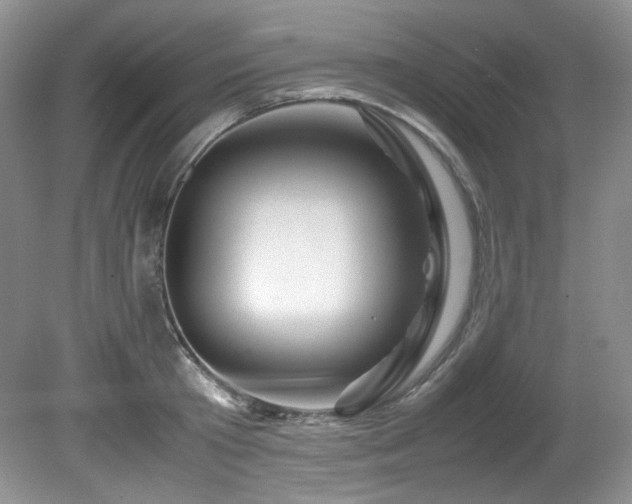 X0000081590801200701151308