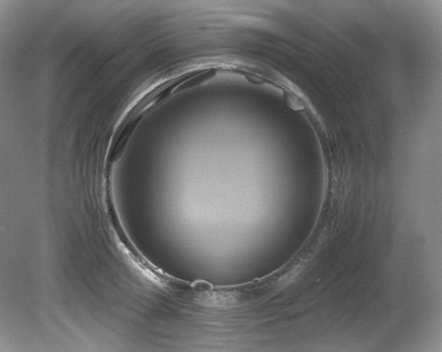 X0000081590802200701151308
