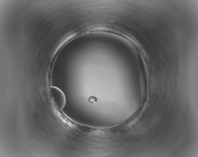 X0000081590806200701151307