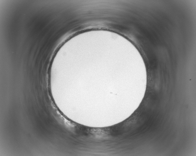 X0000081590807200701151307