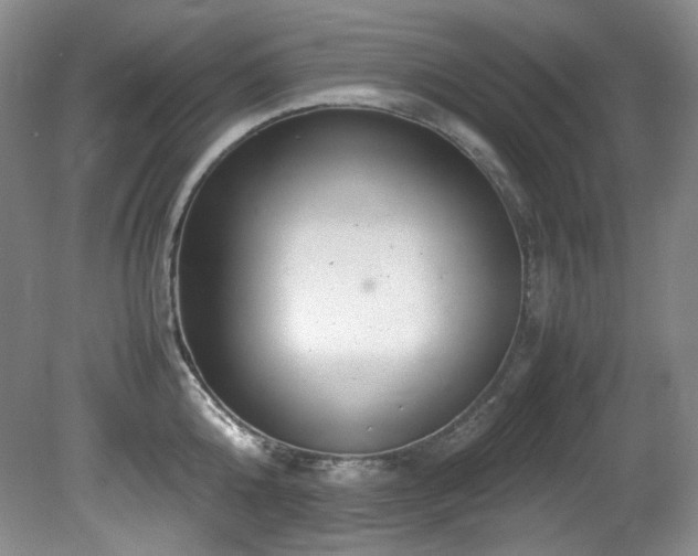 X0000081590808200701151307