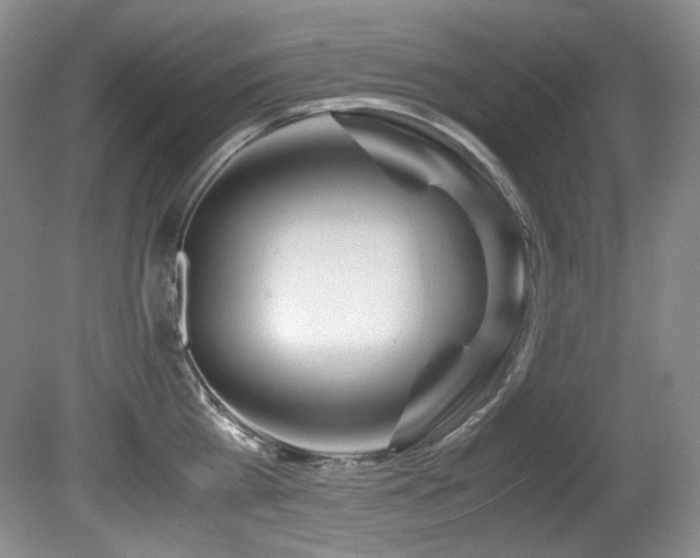 X0000081590809200701151307