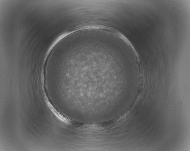 X0000081590811200701151307