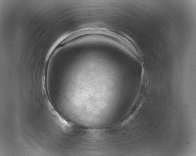 X0000081590812200701151307