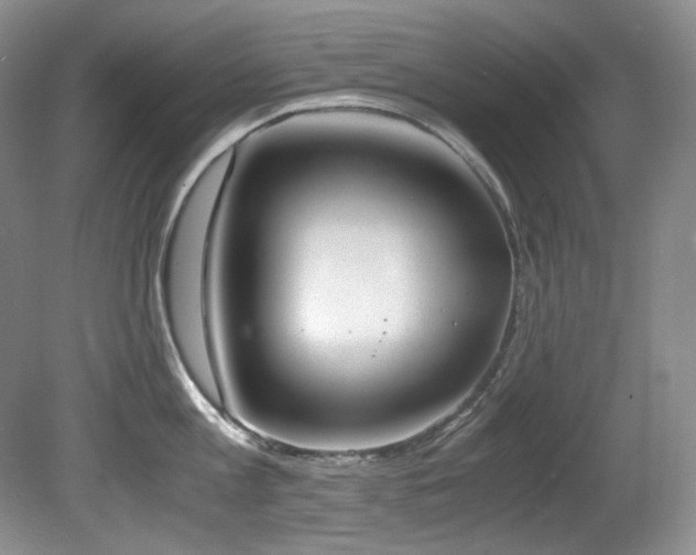 X0000081590813200701151307