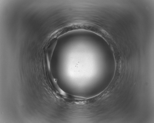 X0000081590822200701151307