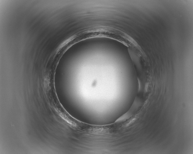 X0000081590826200701151307