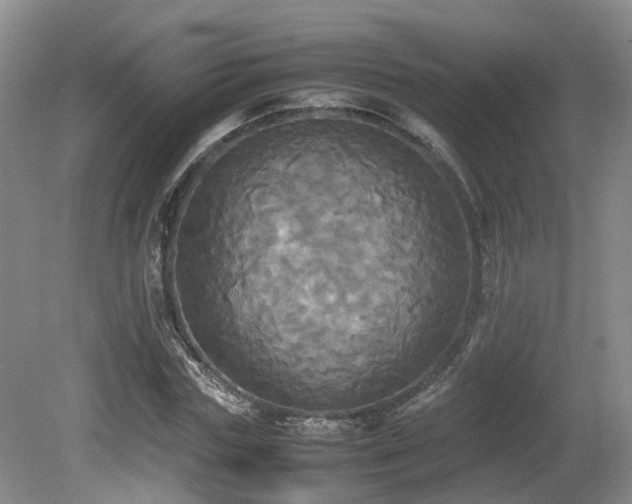 X0000081590827200701151307