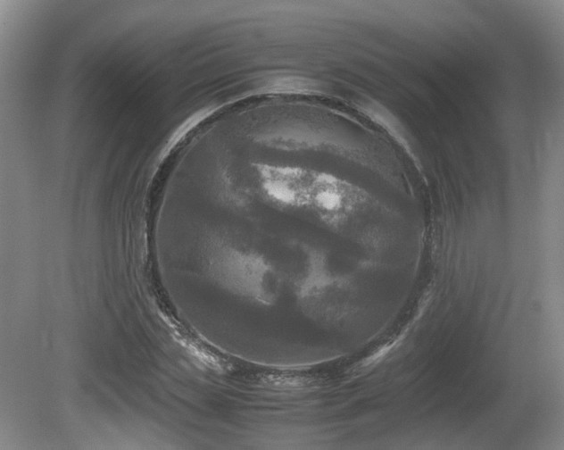 X0000081590829200701151307