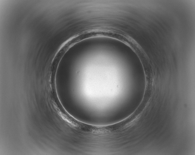 X0000081590830200701151307