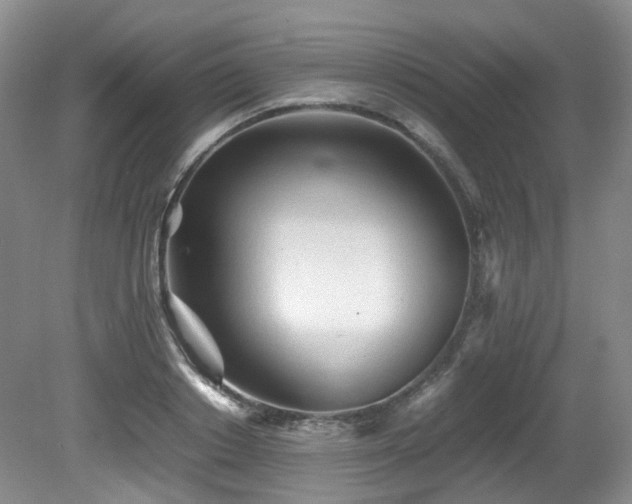 X0000081590842200701151307